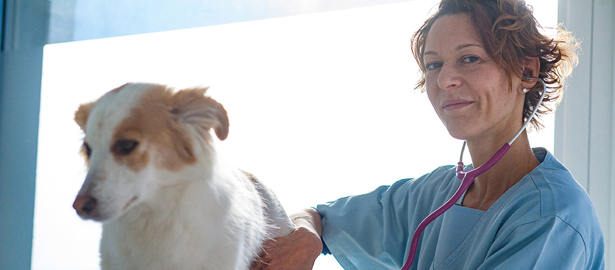 Primo piano Barbara Pellegrini